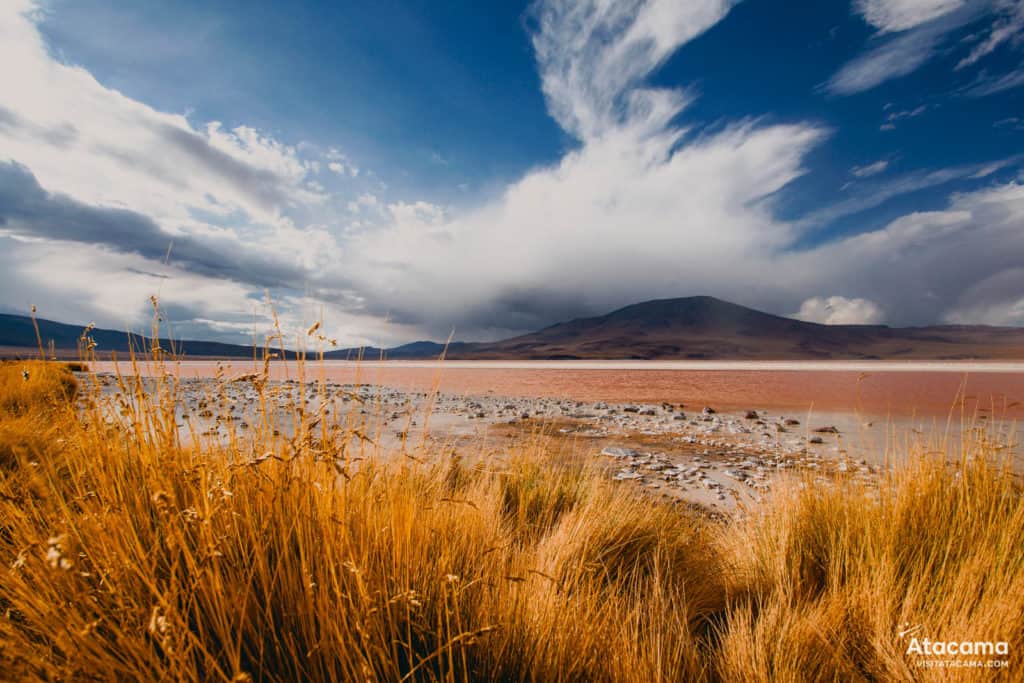 Laguna Colorada, Bolívia
