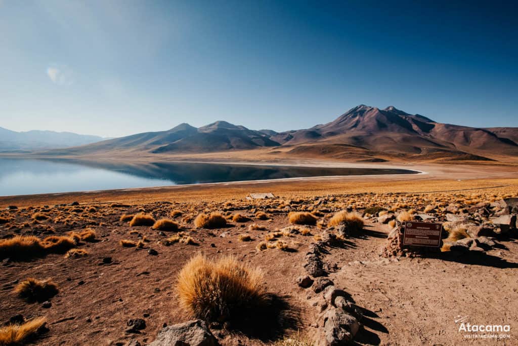 Lagunas Altiplânicas - Deserto do Atacama, Chile