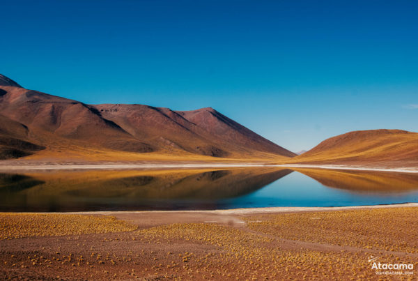 Lagunas Altiplânicas, Deserto do Atacama