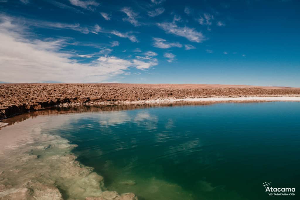 Lagunas Escondidas de Baltinache - Deserto do Atacama, Chile | Foto: Robson Franzoi