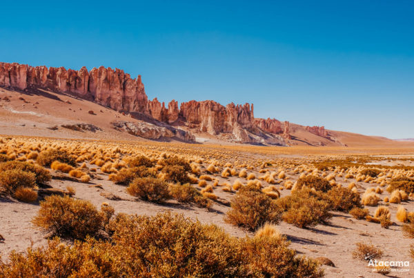 Seguro Viagem para o Deserto do Atacama, Chile