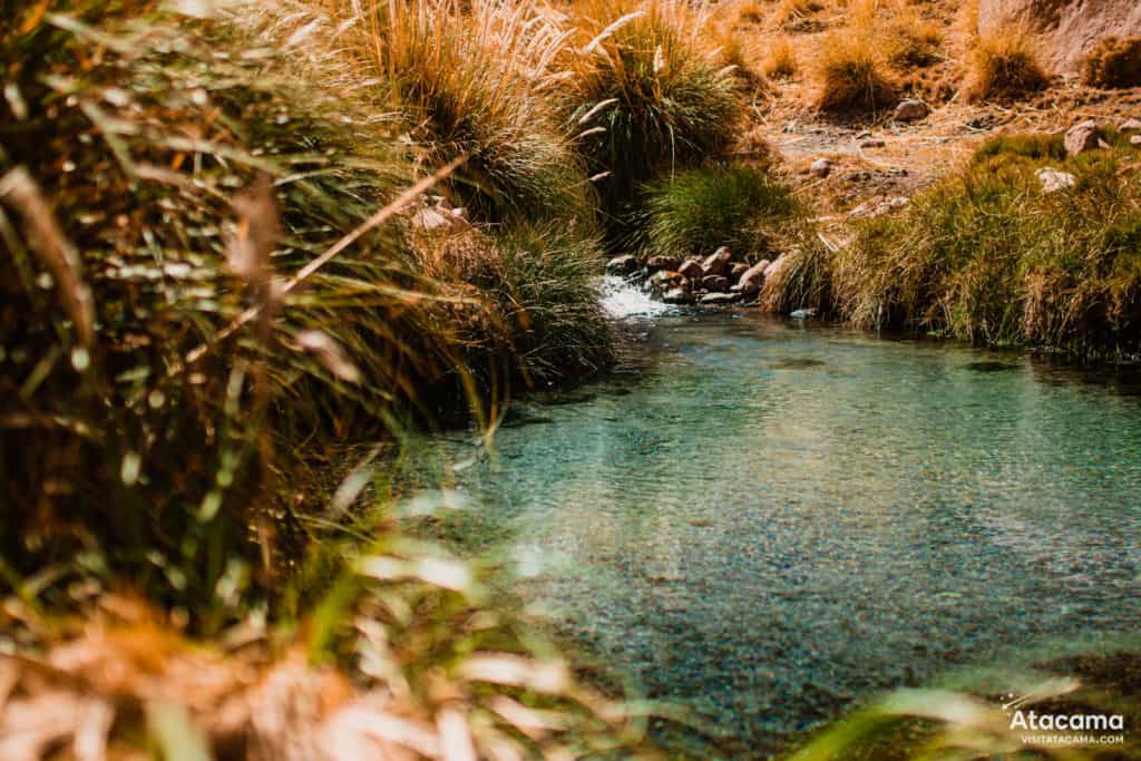 Atacama Desert Chile - Termas de Puritama - Hot Springs 4 Termas de Puritama, Deserto do Atacama - Chile | Foto: Robson Franzoi