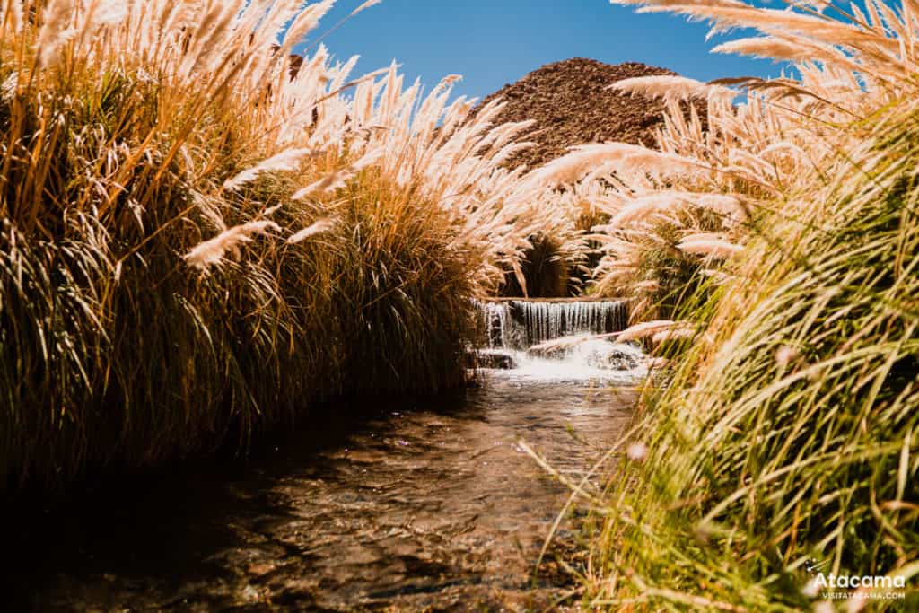 Atacama Desert Chile - Termas de Puritama - Hot Springs 11 Termas de Puritama, Deserto do Atacama - Chile | Foto: Robson Franzoi