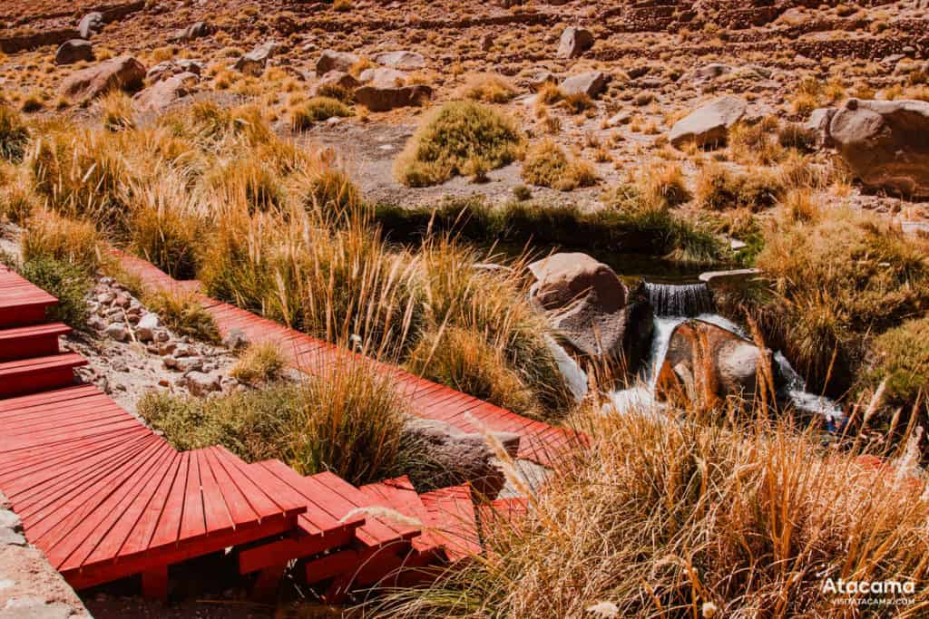 Atacama Desert Chile - Termas de Puritama - Hot Springs 1 Termas de Puritama, Deserto do Atacama - Chile | Foto: Robson Franzoi