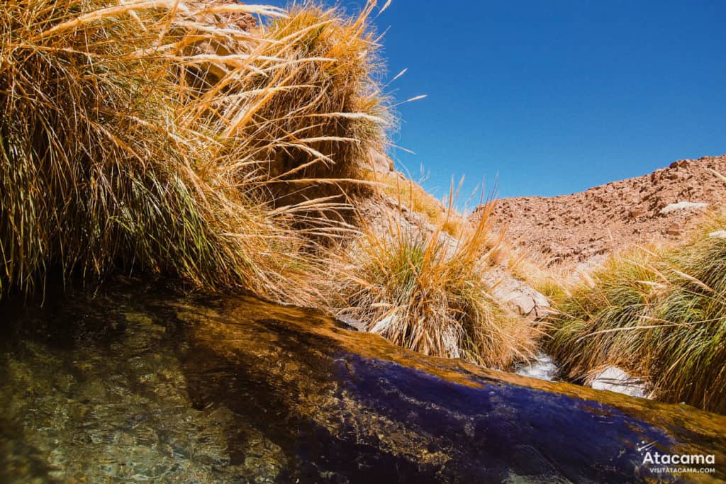 Atacama Desert Chile - Termas de Puritama - Hot Springs 12 Termas de Puritama, Deserto do Atacama - Chile | Foto: Robson Franzoi