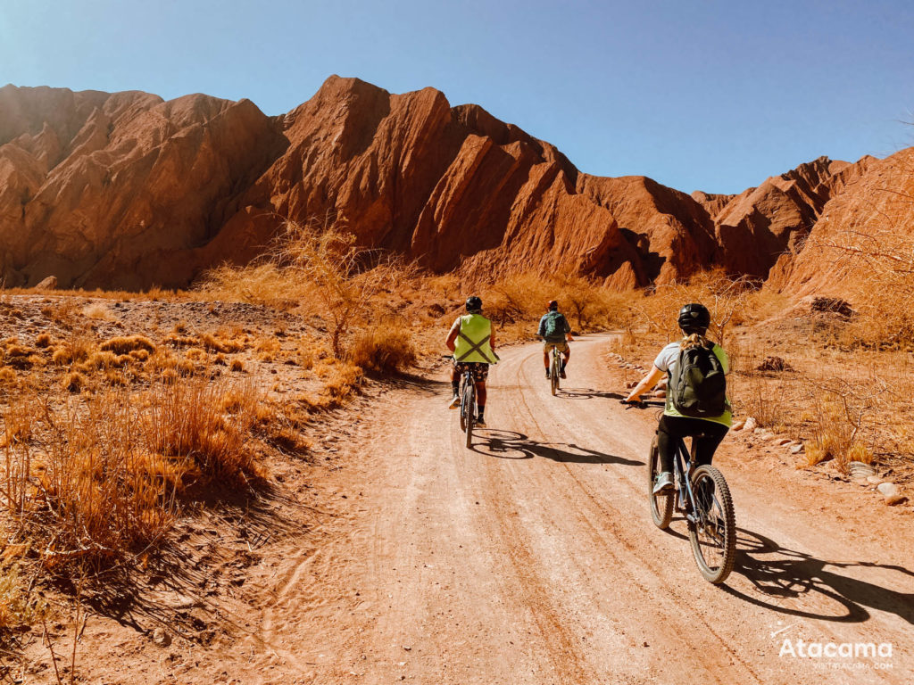 Bike Tour in Atacama Garganta del Diablo