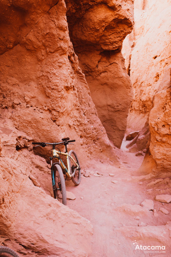 Bike Tour: Garganta del Diablo - Atacama Desert
