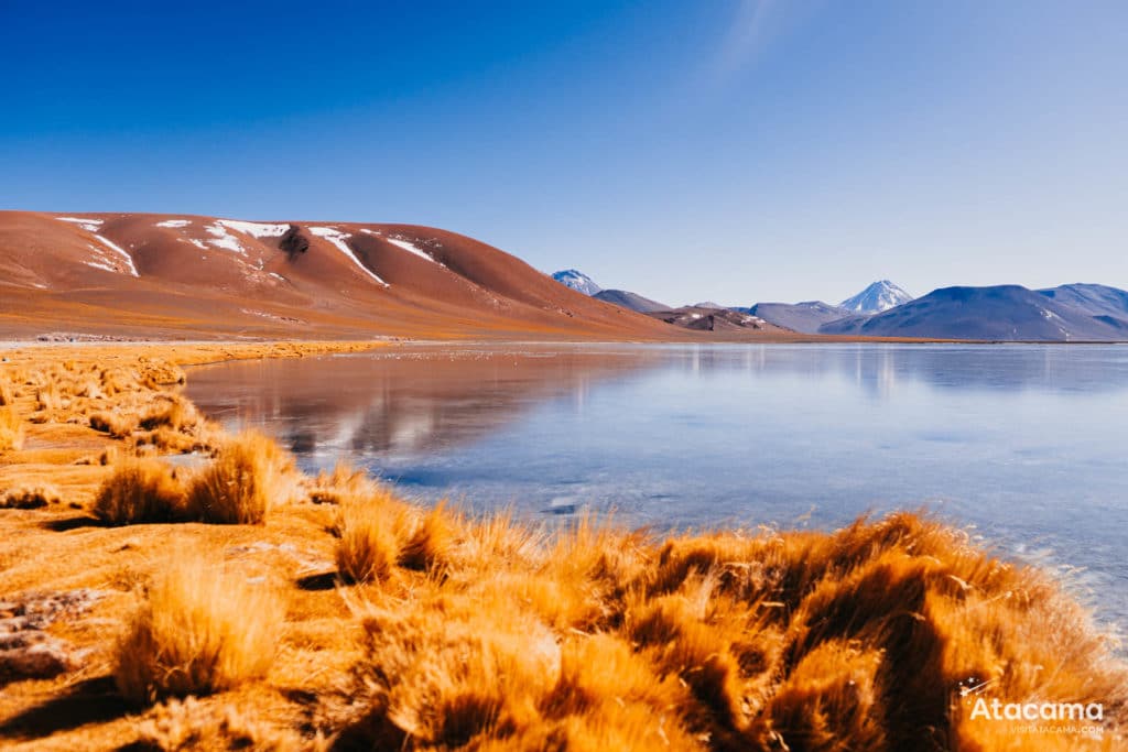 Miragens Andinas Atacama